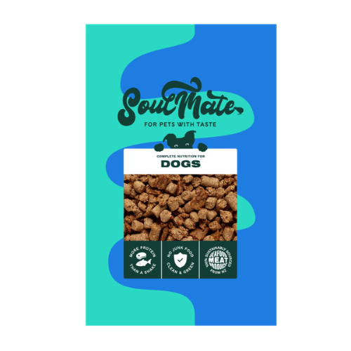 SoulMate DOG　ベイクド＆エアドライフード チキン 40g
