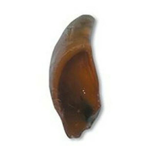 バイオ 牛ひづめ スモーク シュリンクパック 1P