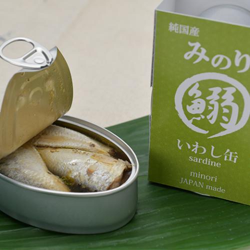 日本のみのり　いわし缶　100g