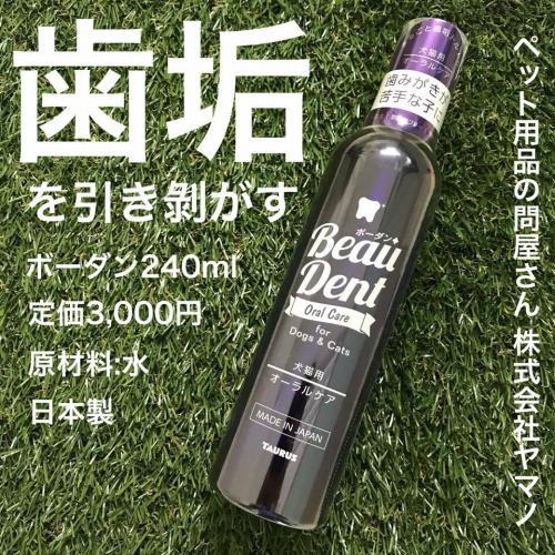 トーラス　ボーダン  240ml
