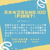 ケイプロ　天然毛ブラシ No.100 ファーストブラシ