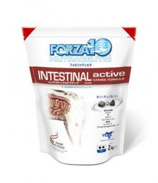 FORZA10 インテスティナルアクティブ胃腸ケア              10Kg
